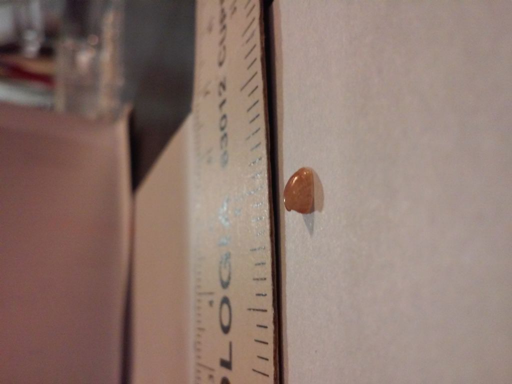 aiuto: che specie �?